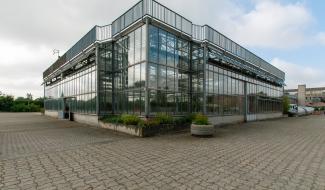 La Ville de Charleroi met fin à ses serres communales