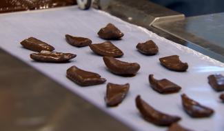 Journée mondiale du Chocolat : rencontre avec l'artisan Tarquin Fontaine à Nalinnes