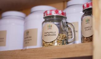 Bio Villages : L'atelier herboriste à Montigny-le-Tilleul
