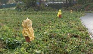 Un projet immobilier sauvé in extremis à Marcinelle