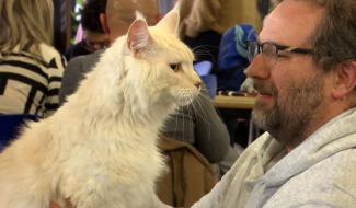 Exposition féline : entre concours et complicité