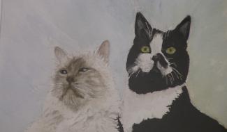 C Local : expo "Plumes et Pinceaux" des Aquarel'linnes à Solre-sur-Sambre