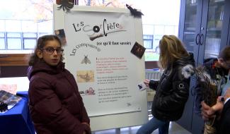 « Sorcières, tout ce qu’il faut savoir », une expo à découvrir à Marcinelle !