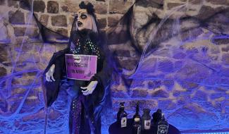 Thuin : presque 2.000 visiteurs ont frissonné dans le Beffroi et au Chant des Oiseaux pour Halloween