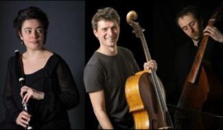 Concert au Château de Chimay: 5 musiciens internationaux sur scène