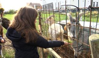 Gerpinnes: lancement du Festival 100% rural
