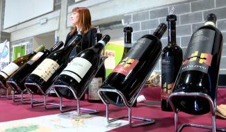 C Local : 5ème foire aux vins du Fifty-One à Beignée
