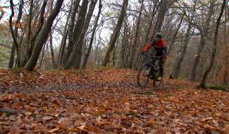 L'Entreville asbl a encore brillé grâce à son VTT et à sa petite nouvelle, l'activité marche