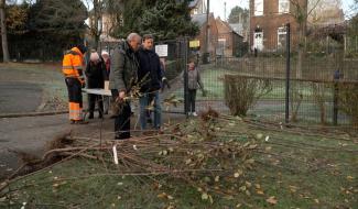 Semaine de l'Arbre: Distribution de plants et animations à Montigny-le-Tilleul