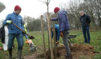 Gosselies : un team building les mains dans la terre
