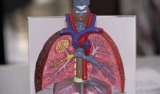 Le Grand hôpital de Charleroi alerte sur les dangers du tabac, de la vape et du cannabis