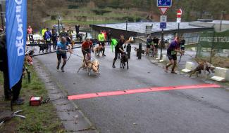 Le 2ème Carolo Dog Trophy a rassemblé de nombreux participants