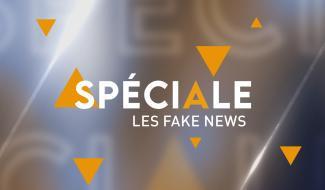 SPECIALE EDUCATION AUX MEDIAS : Les Fake News !