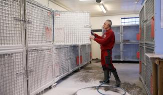 La SPA de Charleroi fait face à une épidémie de giardose