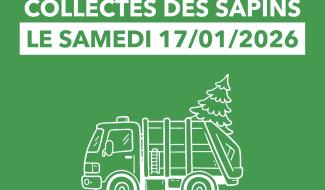 Tibi : le ramassage des sapins de Noël se fera le 17 janvier
