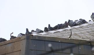 Chimay modernise ses services et lutte contre les nuisances