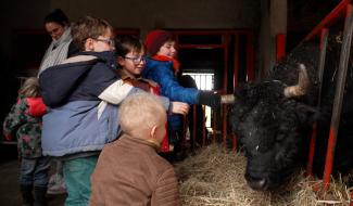 « Les semeurs de graines », une école à la ferme qui veut s’agrandir