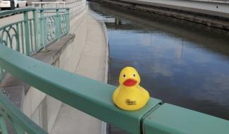 L'édition 2026 de Mon Canard Carolo est sur les rails et lance son appel à projets!