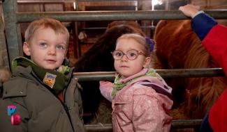 Pense-Bêtes : Stage à la ferme du champ du Loup