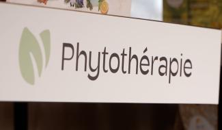 Phytothérapie: une médecine des plantes naturelle pour revigorer le corps humain !