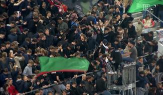 Les Zèbres dans la tourmente