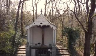 C à Découvrir : Le Bois du Grand Bon Dieu à Thuin