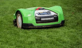 La Wallonie interdit les robots-tondeuses à certaines heures pour protéger les hérissons