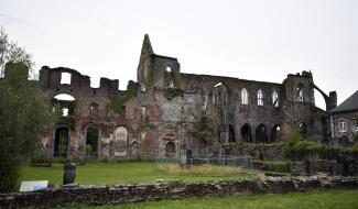 Le chantier de rénovation de l'Abbaye d'Aulne à l'arrêt à cause... d'un faucon pèlerin