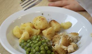 La Ville de Charleroi appelle l'ensemble des partis à sauver les repas scolaires gratuits