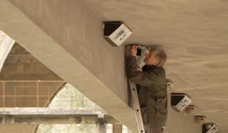 Le site du Martinet renaît : un refuge pour hirondelles et martinets