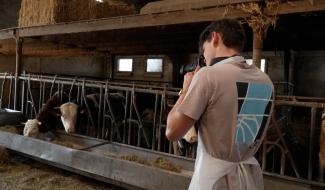 Terribles Terrils : une exposition d’étudiants de l’IHECS à la découverte de Charleroi