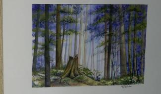 C Local : expo arbres, fleurs et végétaux à la Posterie