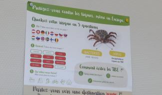 Santé : éviter la maladie de Lyme après une piqûre de tique