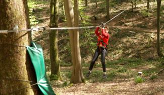 Arboreo relance sa saison avec de nouveaux parcours