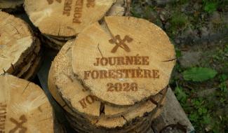 Journées forestières : les enfants plongent au cœur des métiers du bois