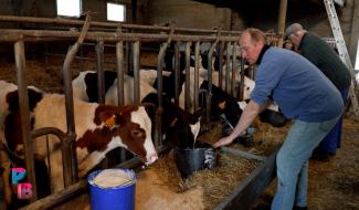 Pense-Bêtes : Ferme laitière à Gilly