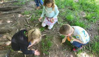 Anderlues : Havre de Nature, des animations scolaires et extrascolaires qui relient les enfants à la nature