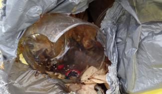 Un collecteur blessé lors de la collecte d’ordures ménagères à Thuin
