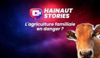 Hainaut Stories : l'agriculture familiale en danger ?