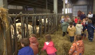 À Gerpinnes, les enfants vivent le quotidien d’une ferme familiale