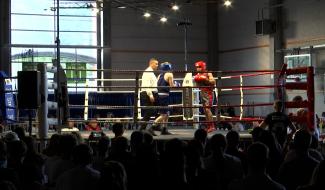 Boxe : James, Jimmy et Nicky Weiss, frères de sang et de combat