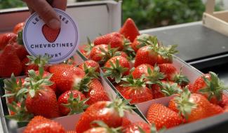 Sivry-Rance : les Fraises Chevrotines fêtent leur 5 ans