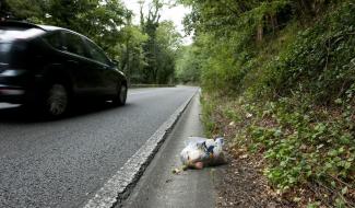 Près de 726 tonnes de déchets ramassées sur les autoroutes de Wallonie en 2025!