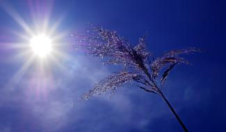 Forte chaleur et pics d’ozone : la phase d’avertissement est activée