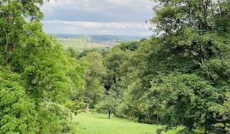 Farciennes : la gestion des bois communaux saluée par la Wallonie