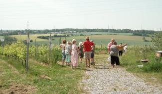 Le Domaine du Blanc Caillou a organisé sa 6ème journée portes-ouvertes