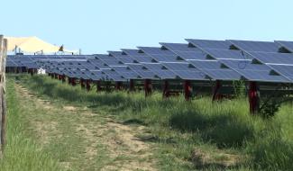 Un champ solaire innovant inauguré à Heppignies
