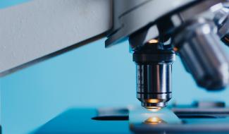 Le secteur de la chimie et des sciences de la vie prévoit 1.600 recrutements cette année