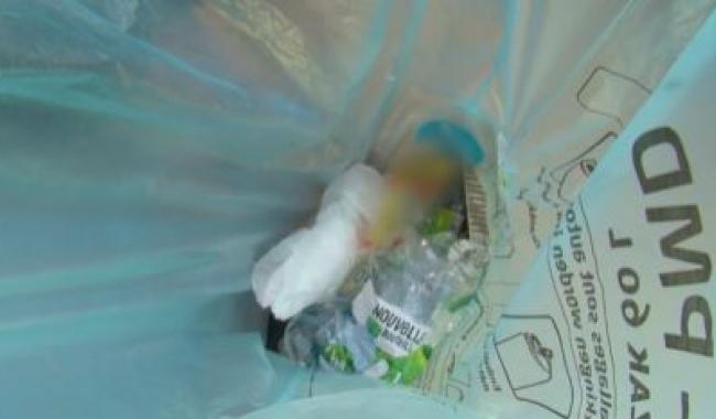 Couillet: le centre de tri Valtris bat des records de recyclage