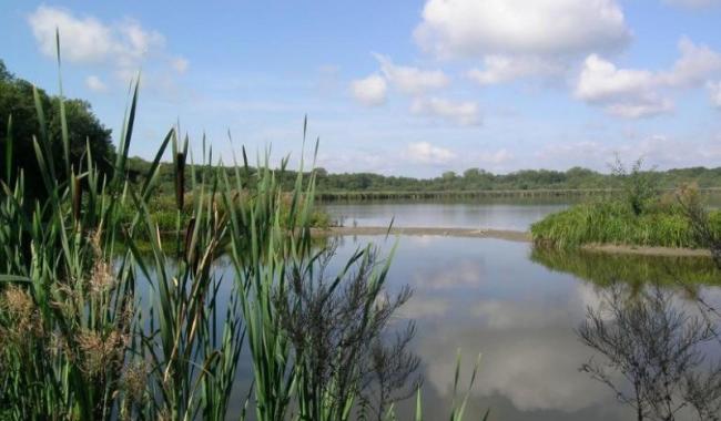 Virelles : Une nuit à la belle étoile à l'aquascope